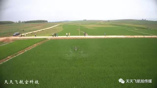 无人机在水稻绿色防控中“大显身手”(图7)