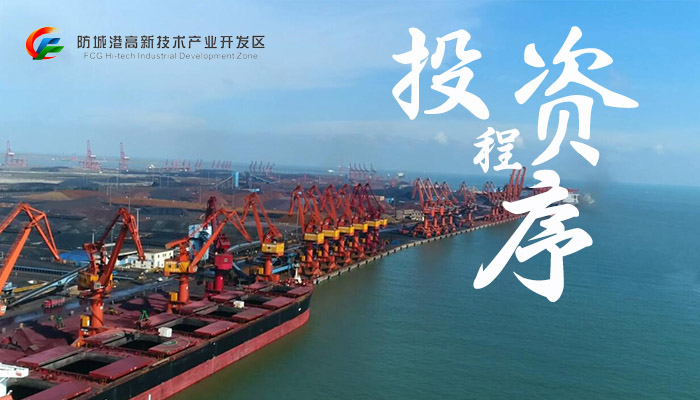 投资程序(图1)